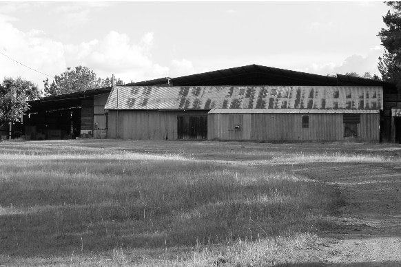 A black and white photo of a farm packing shed.