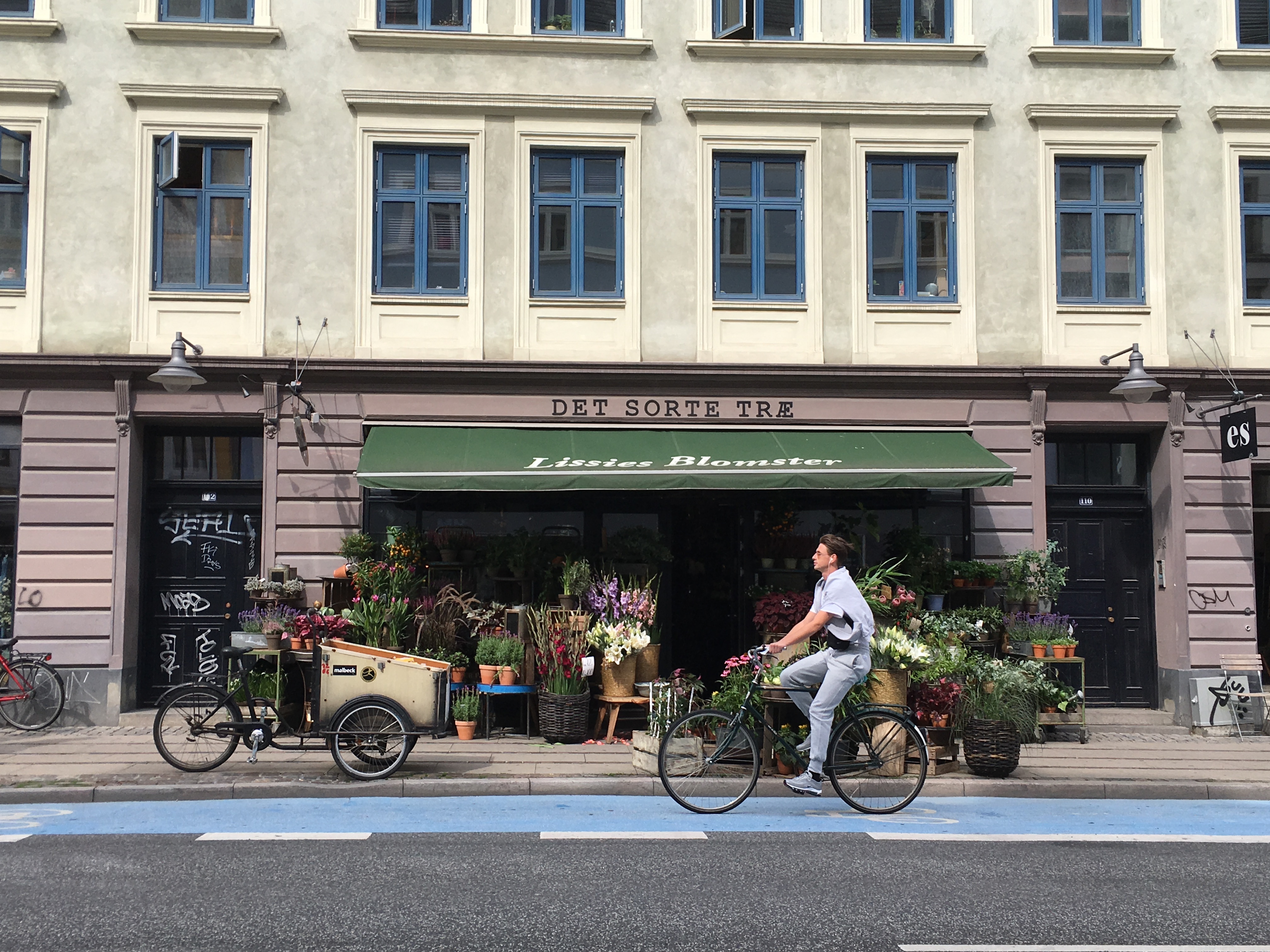 Cycling city Copenhagen sprints to become first carbon-neutral capital
