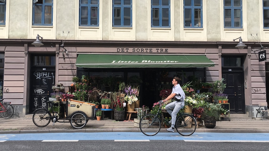 Cycling city Copenhagen sprints to become first carbon-neutral capital