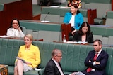Politicians, a number of which are women, sitting in the house of representatives