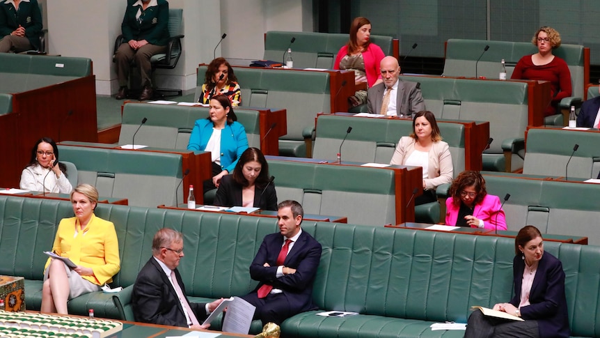Politicians, a number of which are women, sitting in the house of representatives