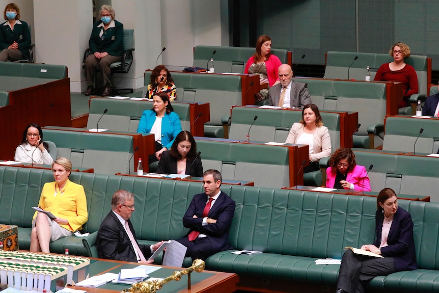 Politicians, a number of which are women, sitting in the house of representatives