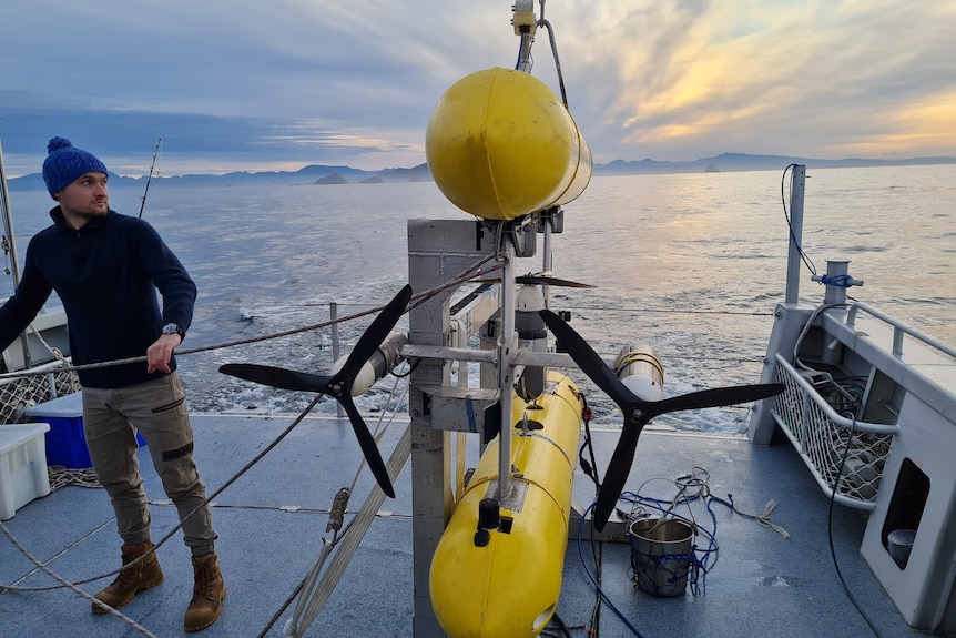 A man stands on a deck with a yellow marine equipment