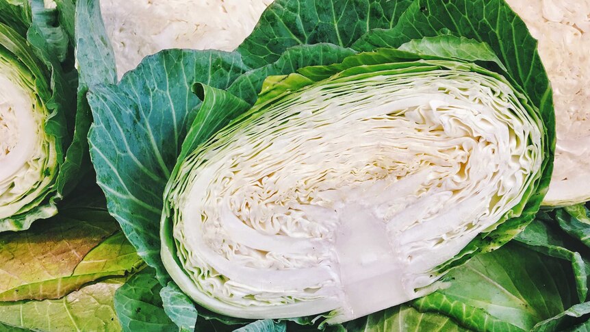 A mix of fresh cabbage cut in halves.