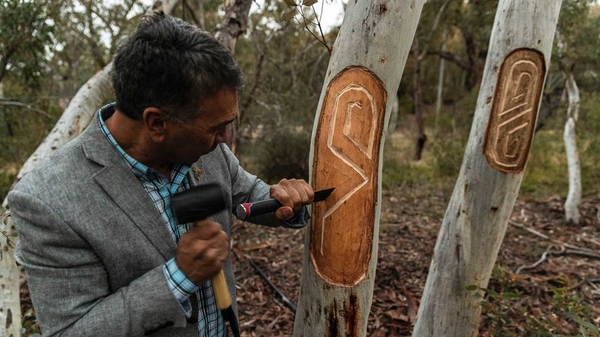 Aboriginal man Paul House carves scars into trees