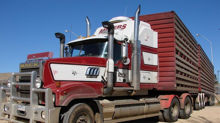 A livestock truck in the outback.