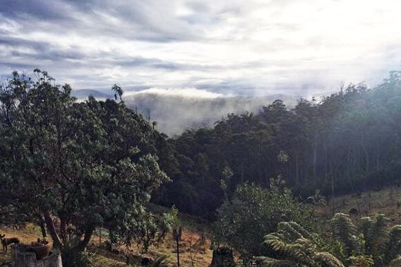 The view down the valley from Ms Amos Robert's house before the bushfires swept through.