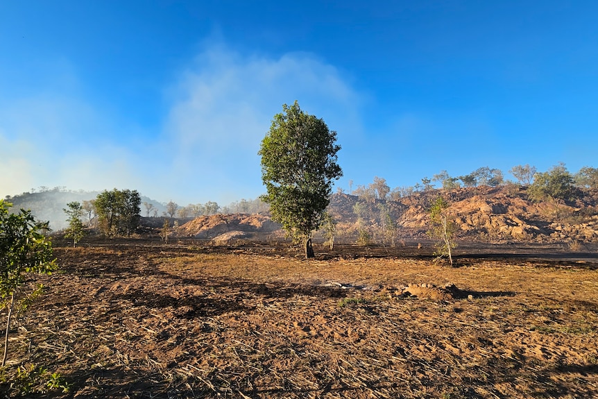 Black ground spreads from a bushfire in scrub landscape.