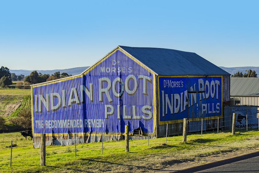 Blue barn painted with Indian Root Pills advertisement.