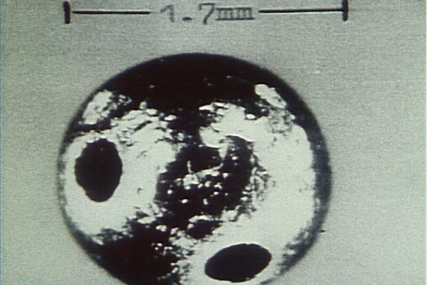 An archival photo of a small metal sphere 7mm in length with tiny holes in it.