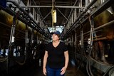 A female dairy farmer wearing a black shirt and blue jeans stands in a dairy.