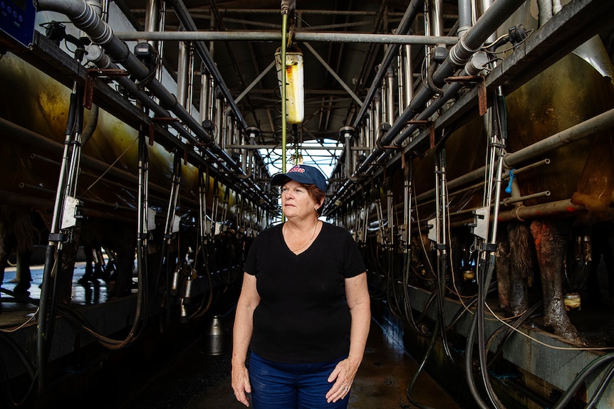 A female dairy farmer wearing a black shirt and blue jeans stands in a dairy.