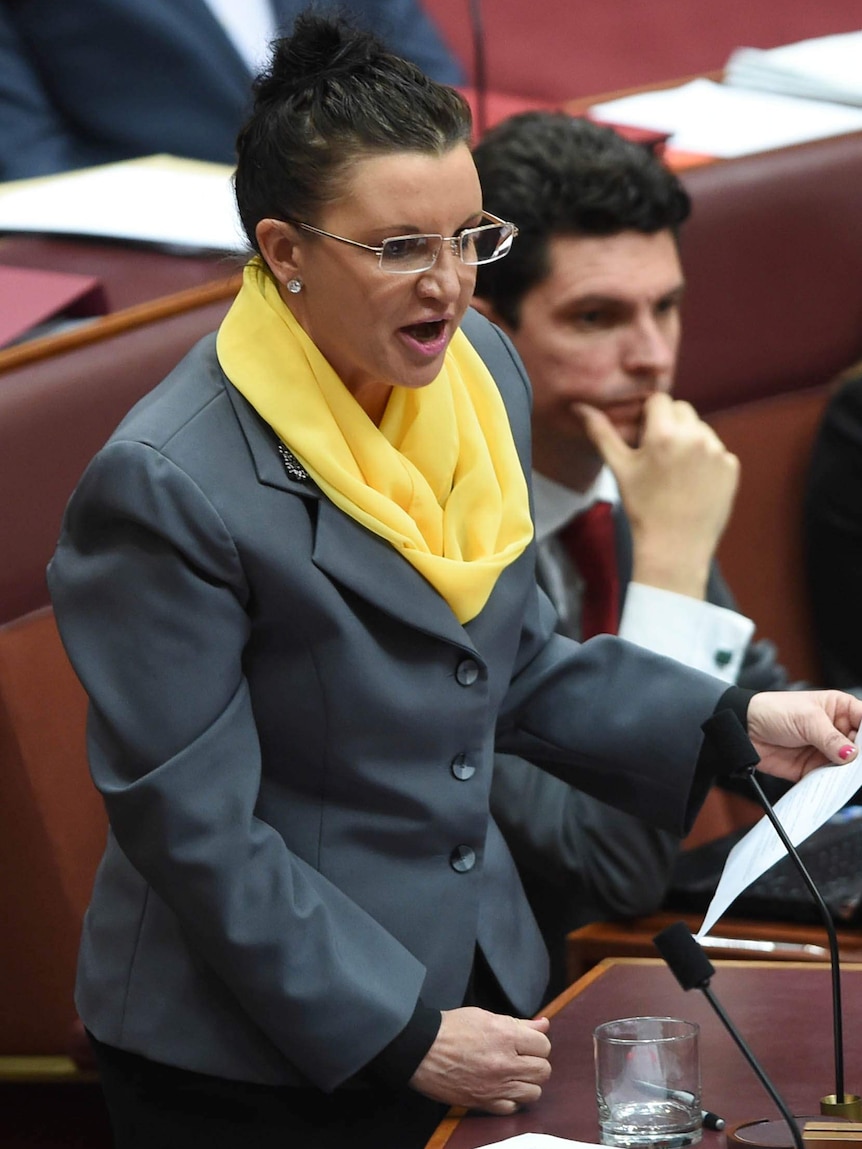 Pup Senator Jacqui Lambie in Parliament