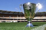 The AFL premiership cup glistens in the sunlight while sitting on the turf at the Gabba