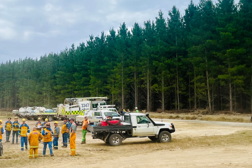 A pine forest in the back, fire crew and emegency vehicles in the front in the clearing. Blue sky, scattered with clouds.