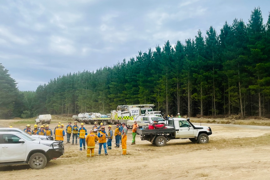 A pine forest in the back, fire crew and emegency vehicles in the front in the clearing. Blue sky, scattered with clouds.