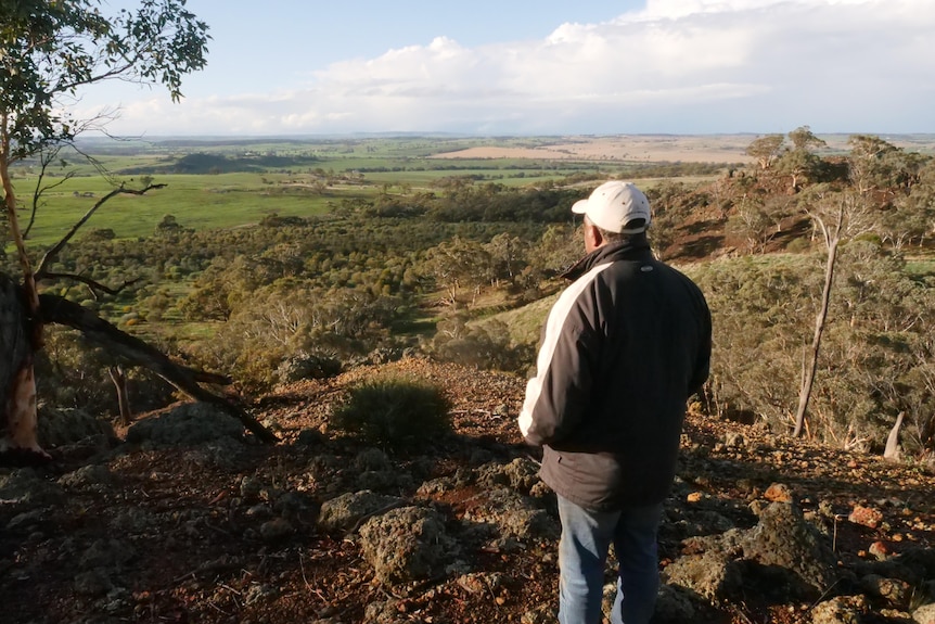 A man looks out at trees on a farm from on top of a hill