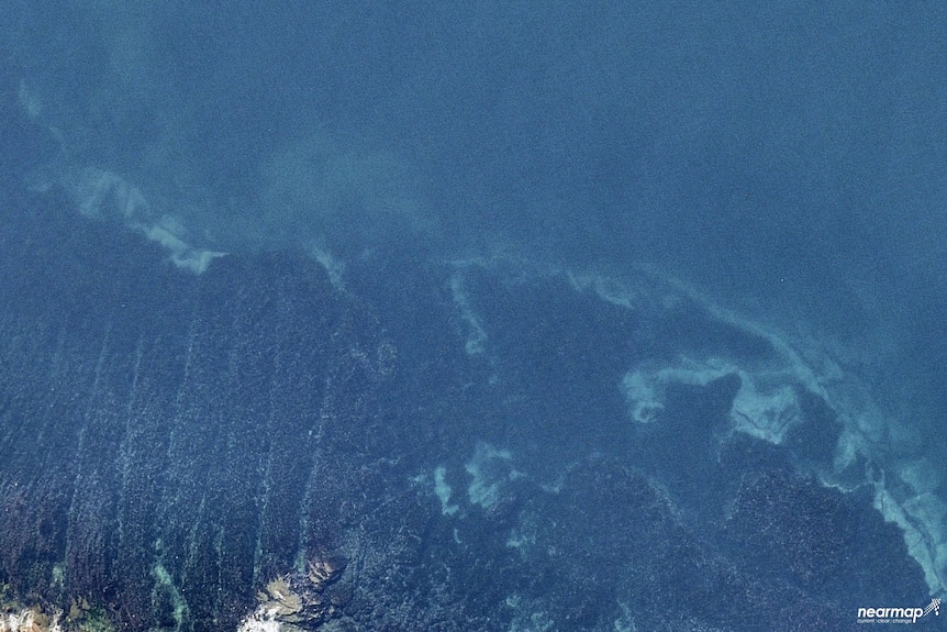 A satellite image of coastline showing mostly healthy seaweed and kelp under the surface