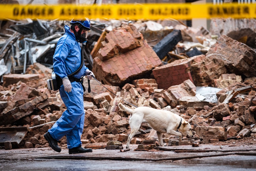 A police dog examines the site in search of possible human remains.