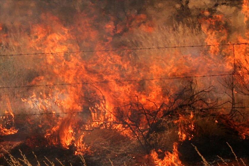 Crews are fighting a grass fire in the Lockyer Valley in southern Queensland. (File photo)