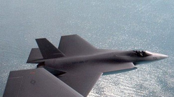The Government plans to buy 100 of the Joint Strike Fighters.
