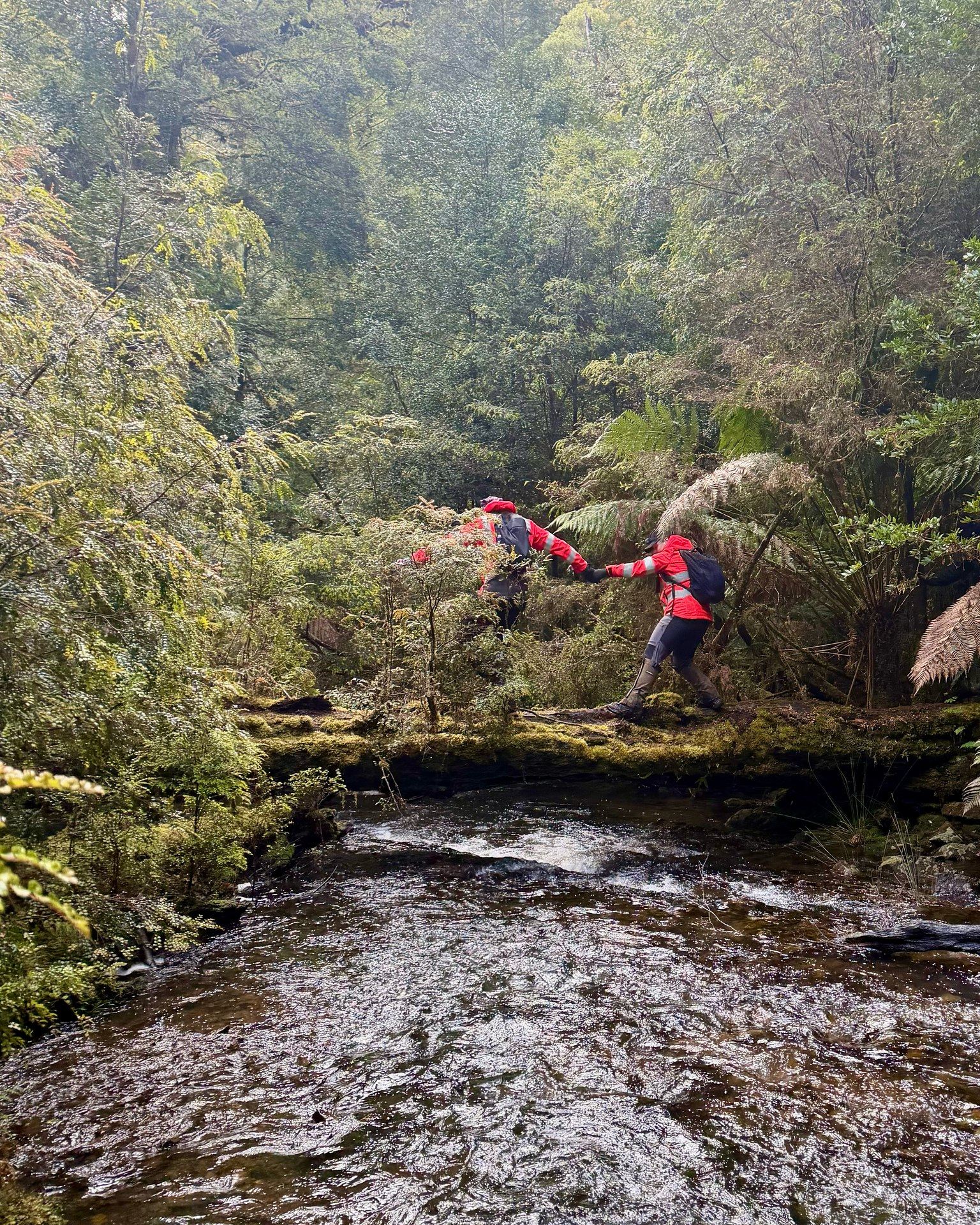 Searchers cross a river while looking for Celine Cremer