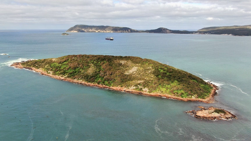 Island just off a peninsula with a bay and cargo ships in the background