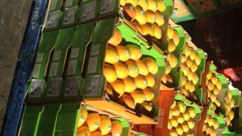 Mangoes are the most popular item at the Brisbane markets