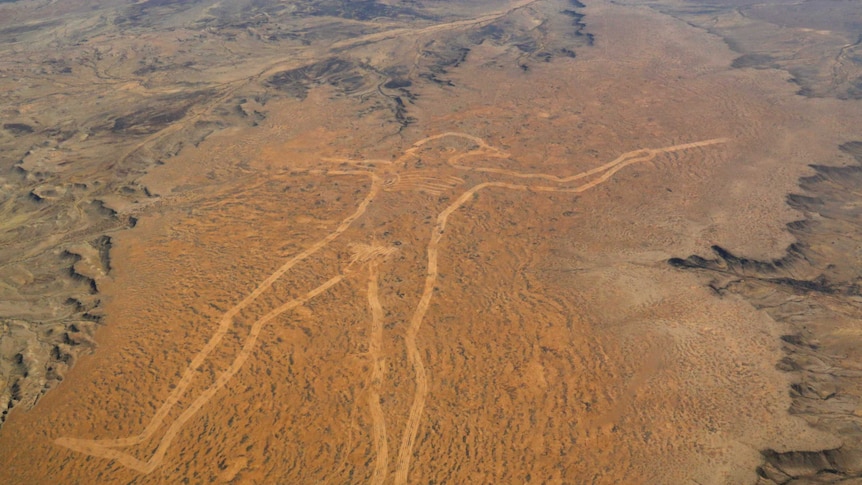 A huge figure of an Aboriginal man carved into to surface of the desert.