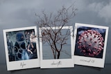 A composite image of three polaroid photos and a gloomy horizon symbolising death. 