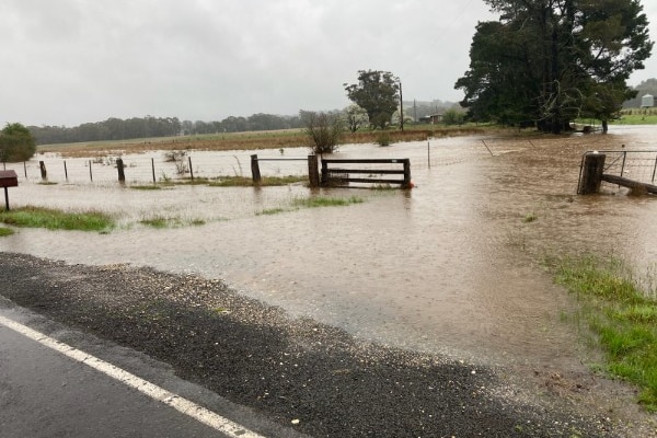 The driveway into a rural property is inundated with water that stretches across the paddocks.