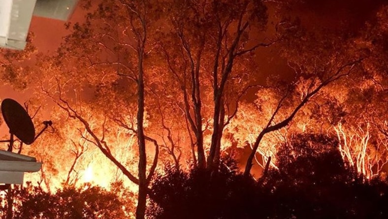 The glow of an approaching bushfire behind trees near a backyard
