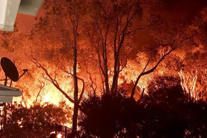 The glow of an approaching bushfire behind trees near a backyard.