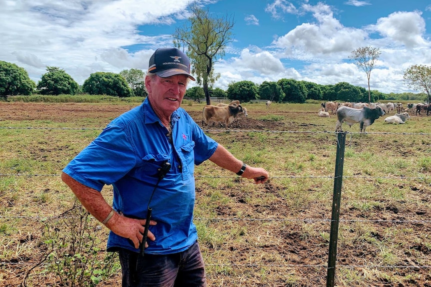 A man stands by a cattle fence.