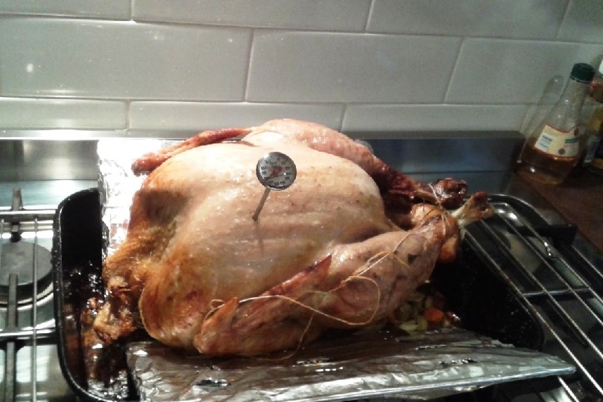 Turkey with a thermometer in the breast