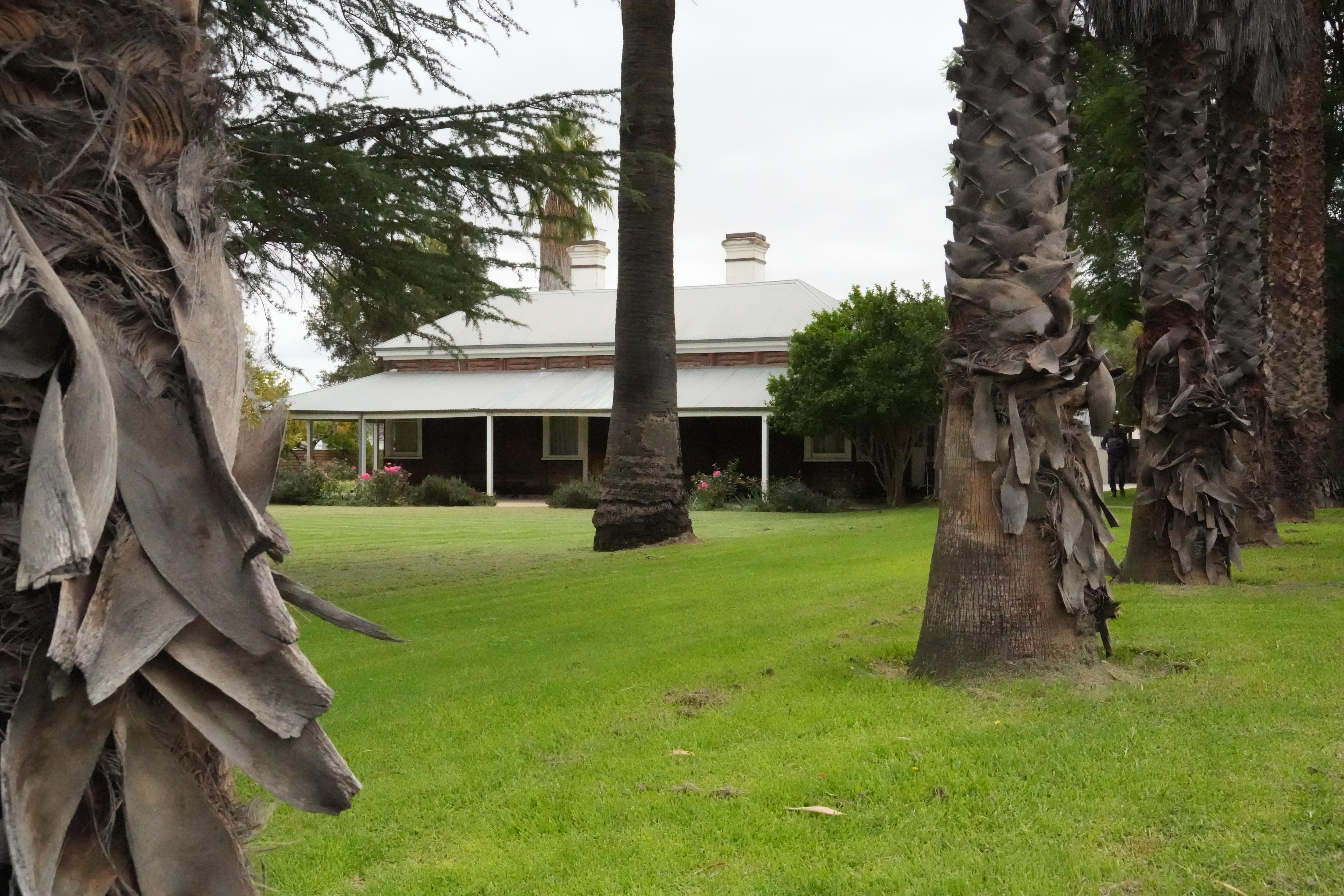 A bungalow house stands behind the trunks of palm trees. 