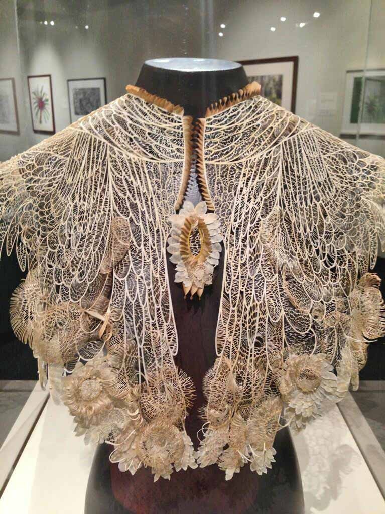 Intricate lace cape wins Waterhouse prize