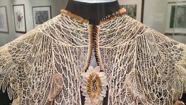Intricate lace cape wins Waterhouse prize