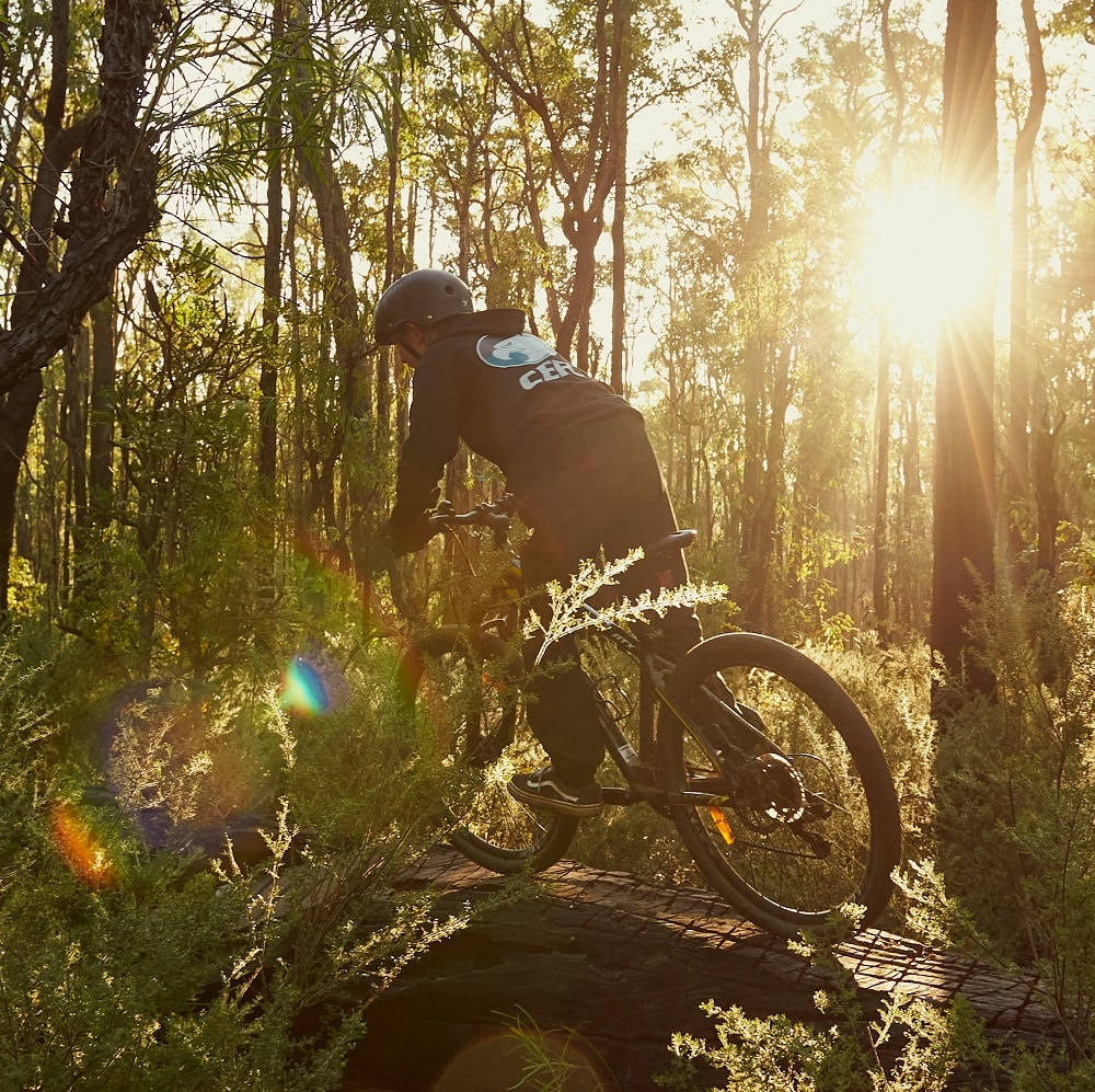 famous mountain bike