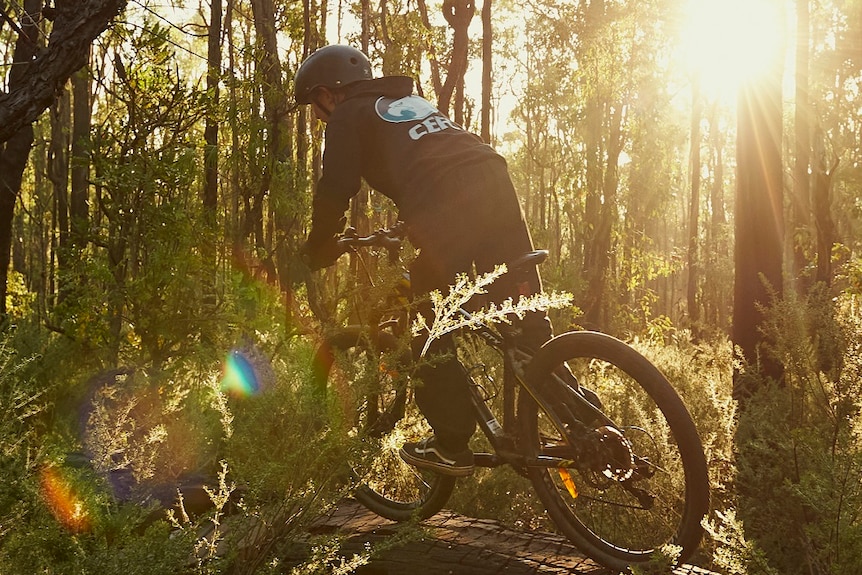 A bike rider on a mountain bike trail with his back to the camera and the sun peaking through the trees