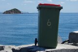 A normal garbage bin in front of the ocean