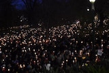 Wideshot of crowd in Treasury Gardens, Melbourne in refugee rally