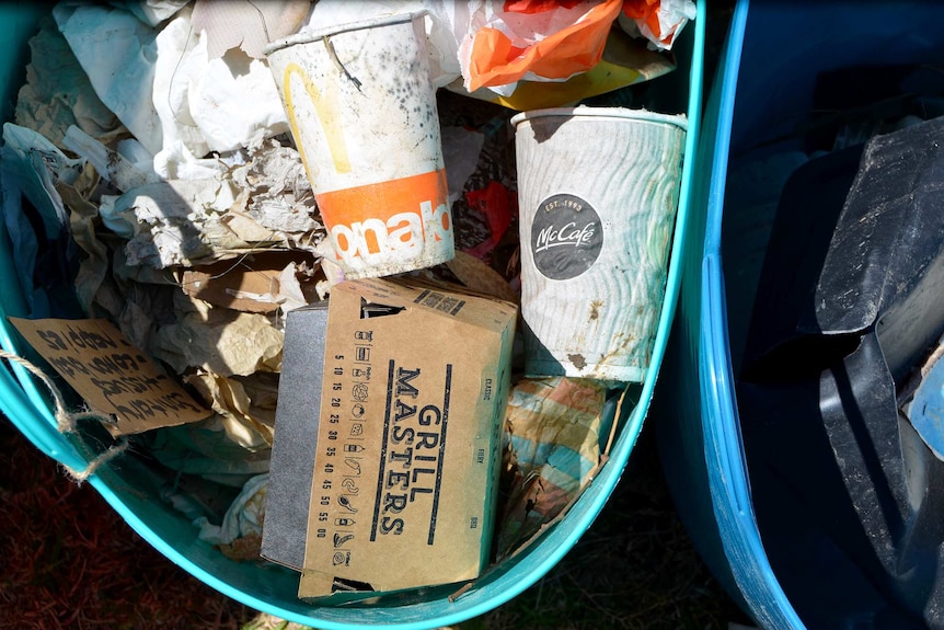 Bucket of collected litter