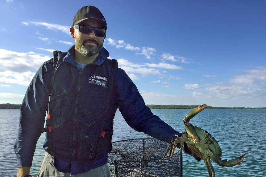 Man on a boat holds a mud crab on a river