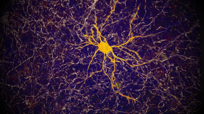 A single neuron's activity (in gold) in the cortex, recorded after the surrounding neurons (cream) are activated with light.
