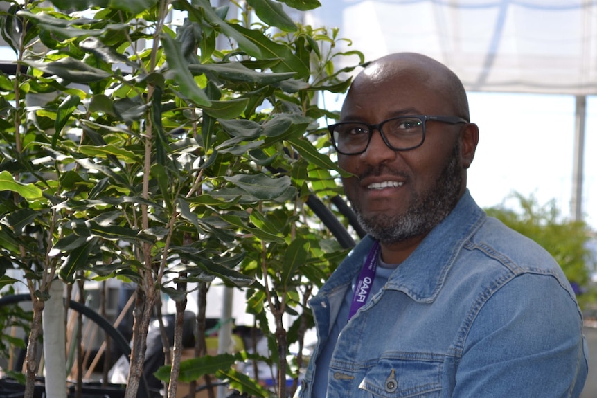 Researcher wearing glasses looks at the camera standing next to a tree.