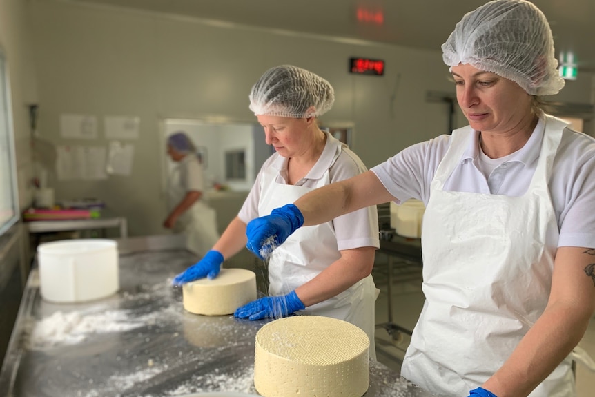 Two women sprinkle salt on to a cheese wheel 