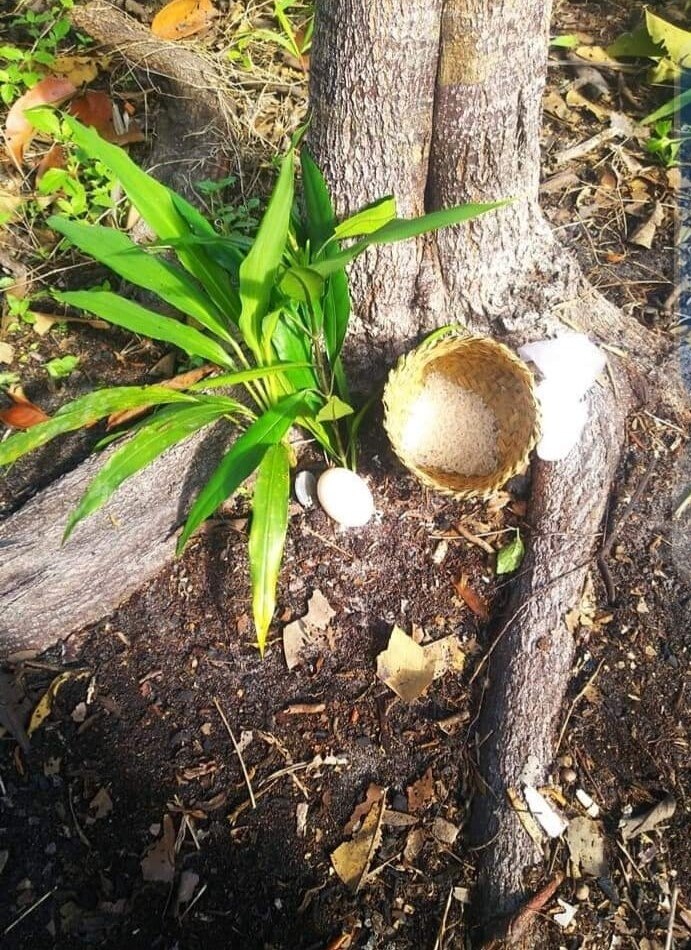 Sajen ritual nyuwuk jumpun