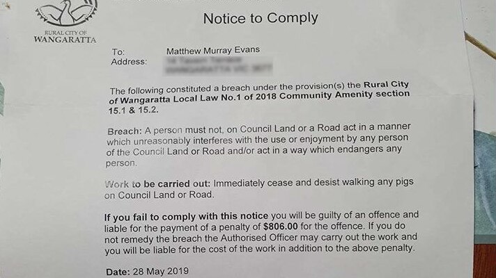 A letter from Wangaratta Council to Matthew Evans with a $806 threatened if he walks his pet pig Grunt on council land.