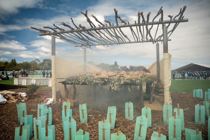 Brown paper-wrapped packages with eucalyptus leaves as smoke drifts around them